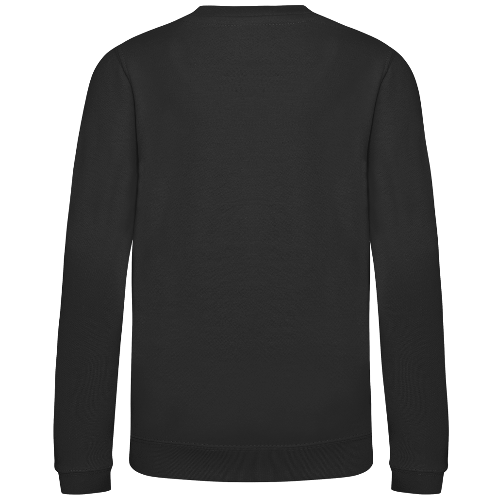 Kids Sweatshirt DIE WELT IST EINE SCHEIBE