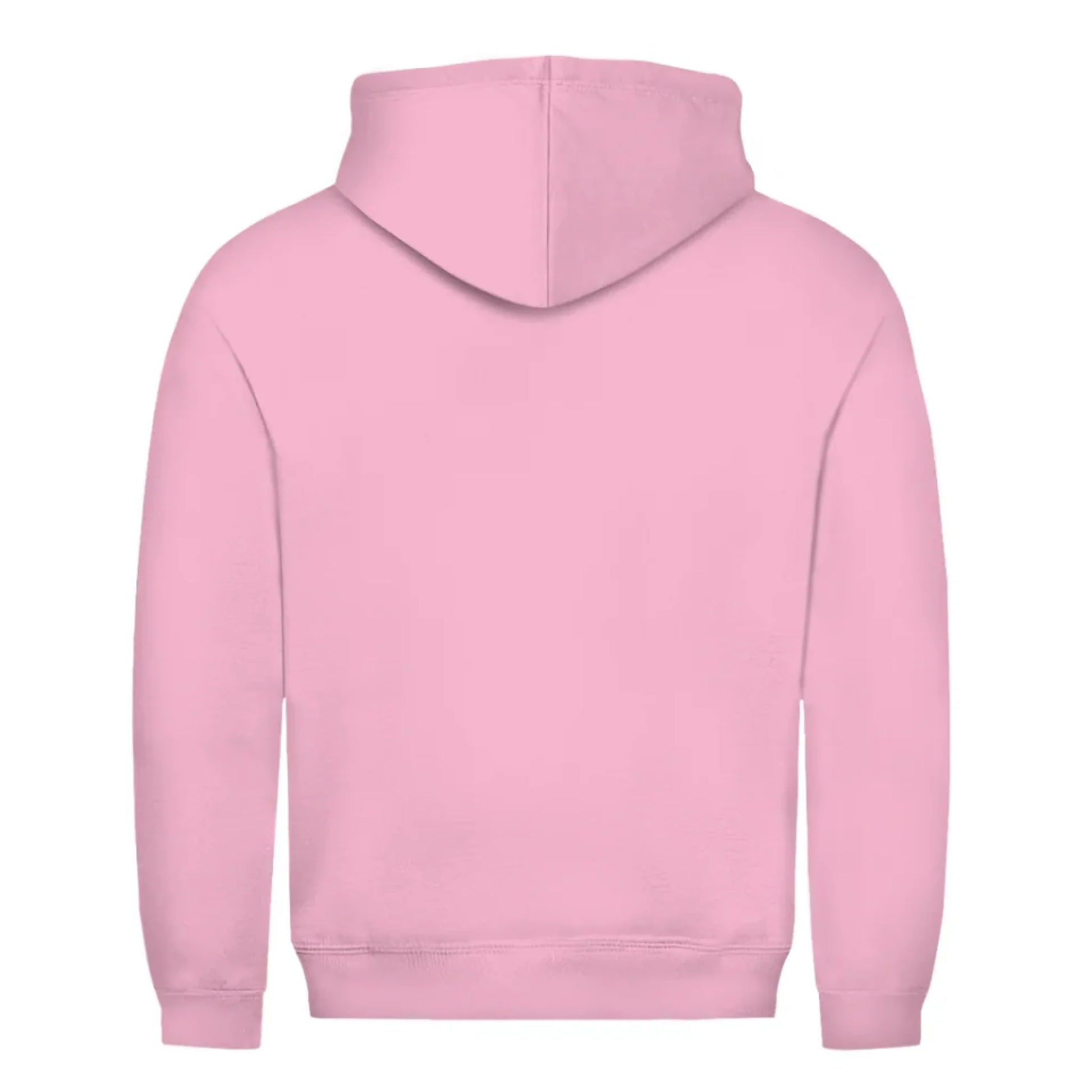 back_Baby Pink_Unisex Hoodie HOCKEY MOM LIFE_mockup