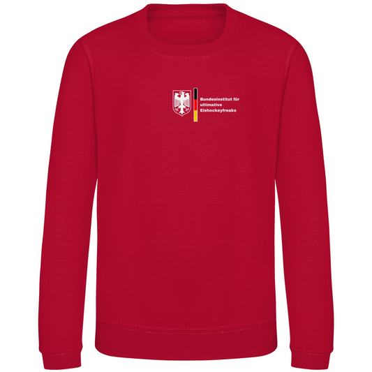 Kids Sweatshirt BUNDESINSTITUT HOCKEYFREAKS